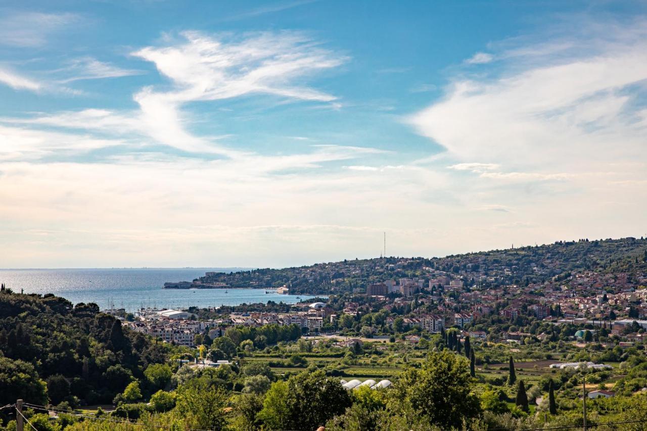 Larabella Salt Fields View Studio Portoroz Exterior photo