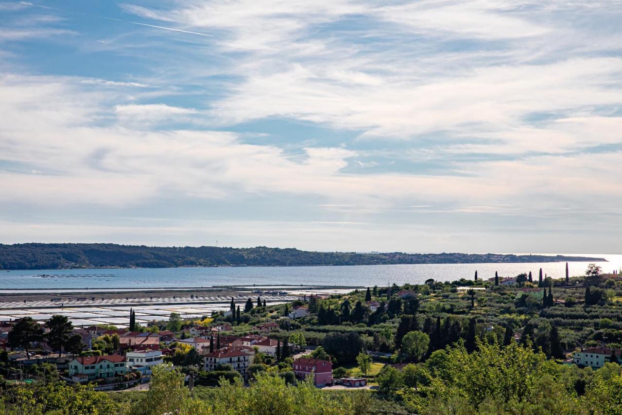 Larabella Salt Fields View Studio Portoroz Exterior photo